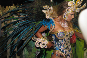 Samba Dancers Costume